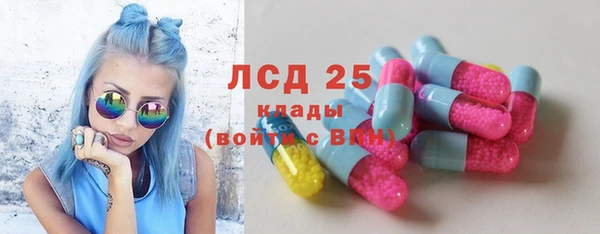 индика Вязники