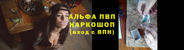 стаф Володарск