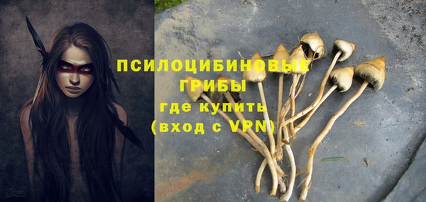 стаф Володарск
