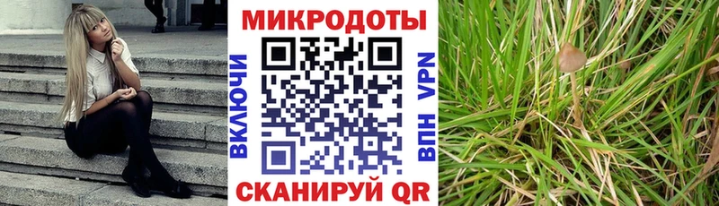 купить наркотики сайты  Петрозаводск  OMG вход  Псилоцибиновые грибы мухоморы 